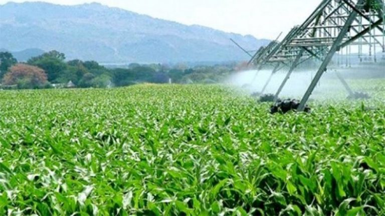 La Conférence économique africaine s’achève sur un appel à mettre l’agriculture au cœur du développement de l’Afrique