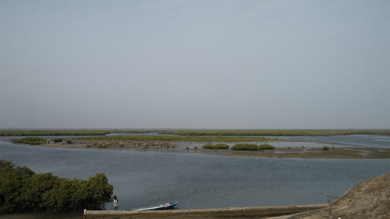 Sénégal: 20 morts dans le naufrage d&rsquo;une pirogue